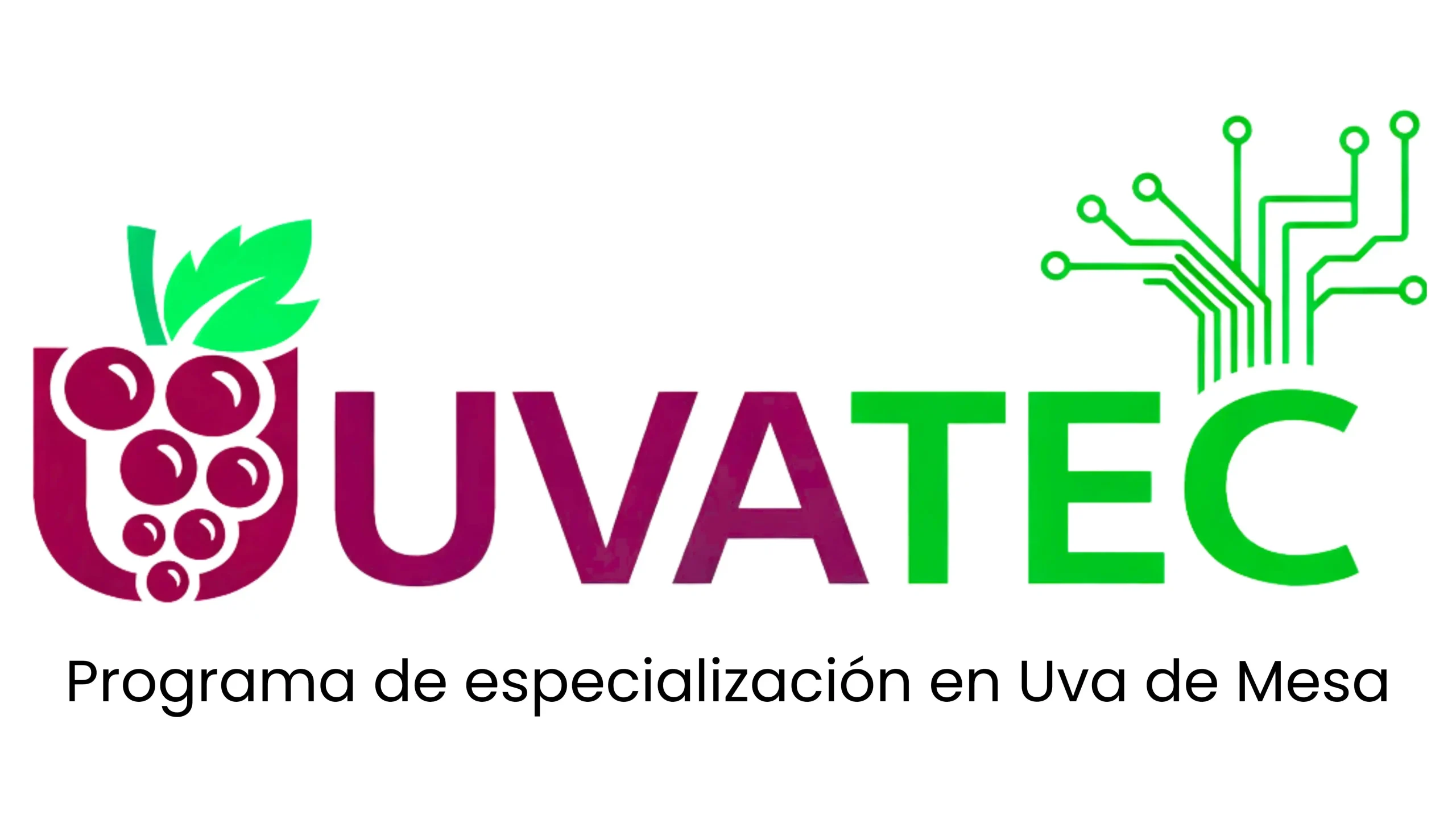 UVATEC 2026